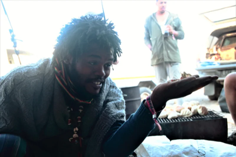 African traditional healer preparing natural herbal remedies demonstrating ancestral medicinal plant knowledge and holistic healing practices validated by modern scientific research.